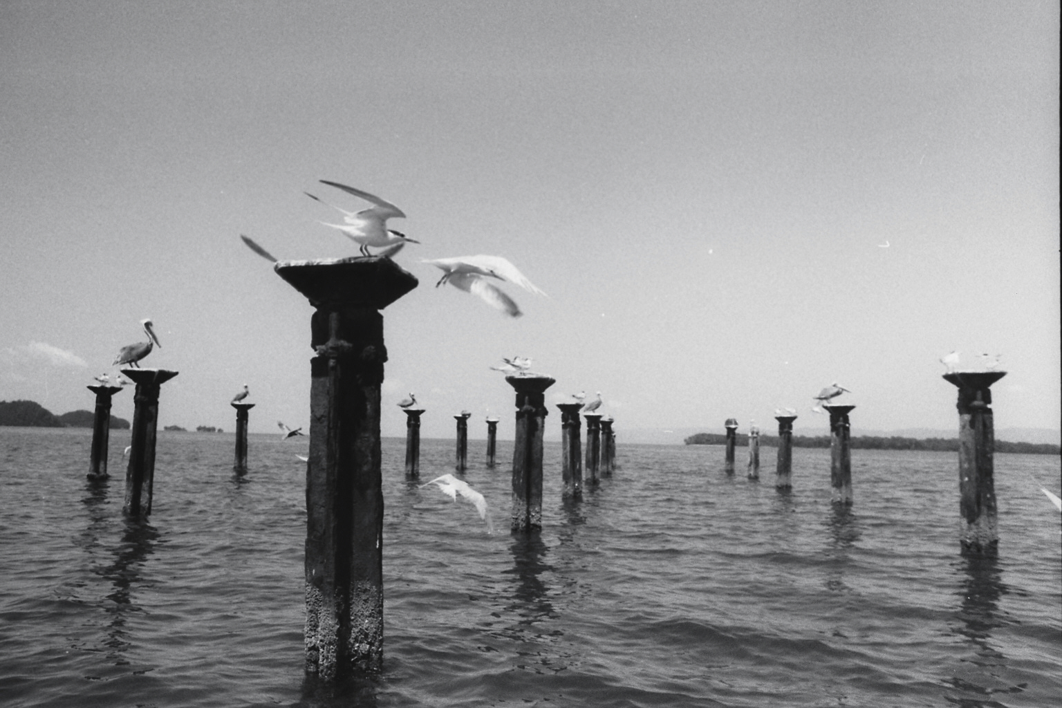 Bild101_Neg.Nr.N104